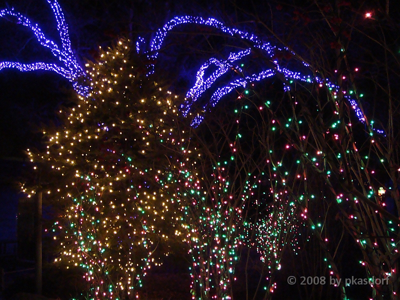 011 Toledo Zoo Light Show [2008 Dec 27].JPG - Scenes from the Toledo Zoo Light Show.